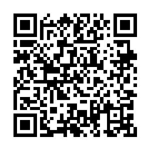 自己曾经把一个储物袋放到了紫烟空间中很久了二维码生成