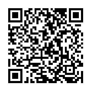 自己有些明白为什么禄州市的地下势力比南都市复杂二维码生成