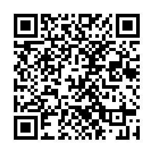 自己有难民的身份保护就可以在我们的国土上为所欲为二维码生成