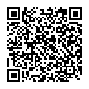 自己正在帮他找他口中的姐姐……小少年居然还真就在他府邸住下了二维码生成