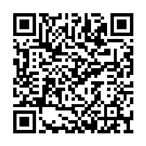 自己此时竟然没有一个能够拿得出手的攻击手段二维码生成