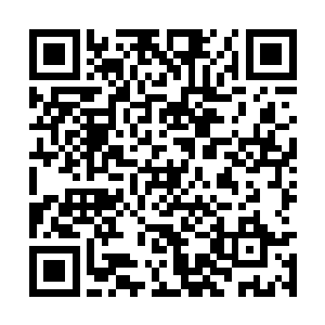 自己甚至很期望在两个小家伙的脸蛋上面咬上一口二维码生成