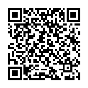 自己甚至还刻意在丁羽走了之后又抽了一管血液出来二维码生成