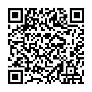 自己用爪子刷刷都给弄开吃的那叫一个心满意足二维码生成