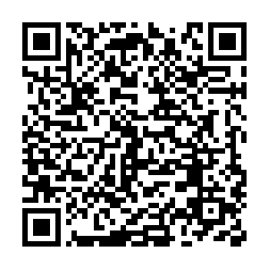 自己的两个儿子对自家同母兄弟下手竟然都是一般无二的毫不留情二维码生成