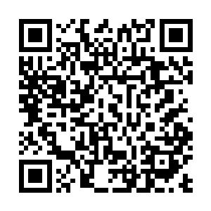 自己的两个女儿是整个桥家在这乱世得以延续昌盛的关键二维码生成