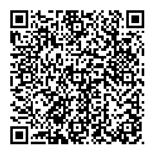 自己的二叔正像是一个建筑工地的工头一样拿着图纸带着一群工程师在某个还未完成的建筑工地上来来回回的比划着二维码生成