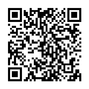 自己的亲人若是能够服用这东西显然绝对是一个天大的机缘二维码生成