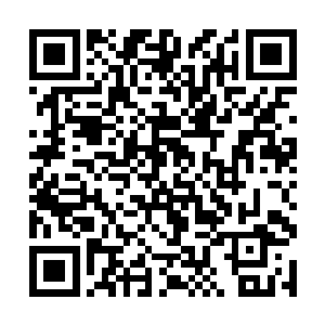 自己的侄子现在在自己的老巢慢慢开始变得羽翼丰满二维码生成