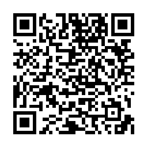 自己的儿女和那些大家族明争暗斗他也只是说说二维码生成