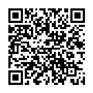 自己的嗓音条件更擅长的显然还是一些大气的抒情歌之类的二维码生成