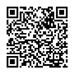 自己的大孙子并不是没有给自己伸出来这个橄榄枝二维码生成