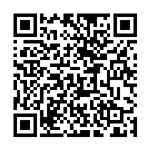 自己的子女是最聪明的最好看的最孝顺的最懂事的――二维码生成