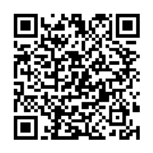 自己的家族或者宗门并没有一个许氏家族这样的敌人二维码生成