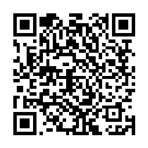 自己的家里人和琳达与金乌堡的那些人很快就会离开怀远郡二维码生成