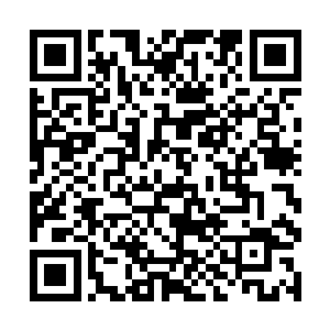 自己的开天造化功的运转速度也一下子被压制了数倍二维码生成