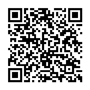 自己的敛息术能骗过对方――这玩意的厉害程度二维码生成