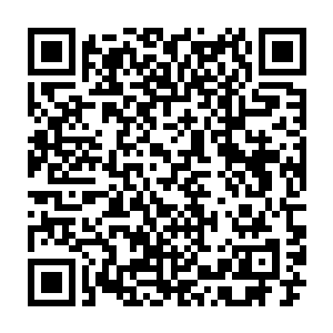 自己的无相不灭神火分身使出青龙九变第七变攻击太极通天神殿门上的黑鱼二维码生成