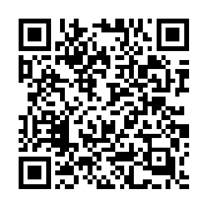 自己的条件和迪戈说的这位船东的条件没有协商的可能性二维码生成