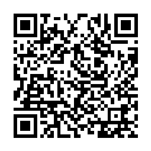 自己的灵魂仿佛跟这些天元神族少年联系在了一起二维码生成