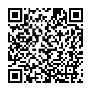 自己的理想不也是仅仅想要自己和父母过得舒服一些吗二维码生成