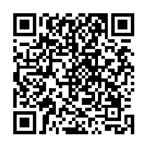 自己的生命之中又多了两个需要自己用生命去保护的女人了二维码生成