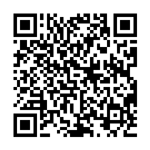 自己的神魂竟然和伏羲的一部分数据库完美无缺地镶嵌在了一起二维码生成