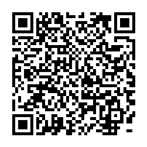 自己的繁星拜明月就是从董依霖的明月照大江这一品种里衍生而来的二维码生成