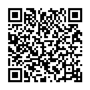自己的身体又恢复到了刚从核桃里出来时候的大小二维码生成