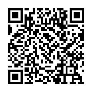 自己的这个天劫的威力实在是有些变态的不像话二维码生成