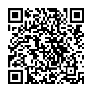 自己的这个老大还有什么更加让他吃惊不已的绝技二维码生成