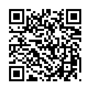 自己的那只雪狐确实就是儒家包换的雪狐二维码生成