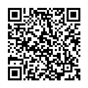 自己的闹腾就给皇帝提供了彻底打压王府的借口二维码生成