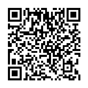 自己看到了销售科长钱大发在野味山庄大齿大喝二维码生成