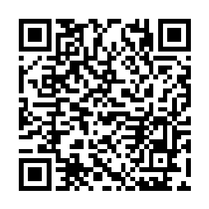 自己真的不务正业跑到节目上打击澳大利亚人去了二维码生成