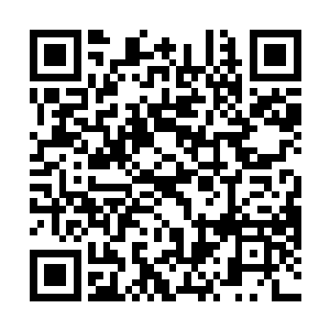 自己确实感受到了那股浩然博大又充满杀伐气息的力量二维码生成