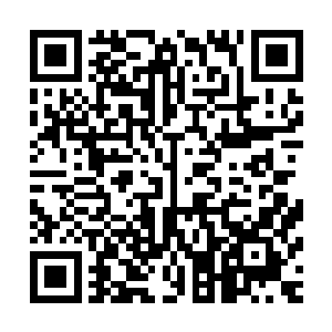 自己祭炼大五行诛仙剑阵所需要的最后一件火属性的飞剑材料二维码生成