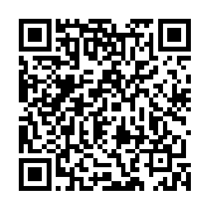 自己空间里了几条黄鳍金枪鱼都繁殖出了一拨子小鱼来了二维码生成