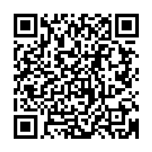 自己竞争副厂常的事情在姚志善被正式逮捕之后就彻底出局了二维码生成