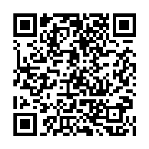 自己等人的修为明明好似一路坐火箭一般的飙升二维码生成