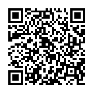 自己简直像是在家里供了个高达一米九的大花瓶二维码生成