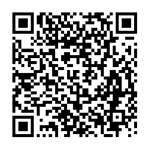 自己精心饲育的幼崽身体素质没有一个可以达到几百年前堪塔斯幼崽的正常水准二维码生成