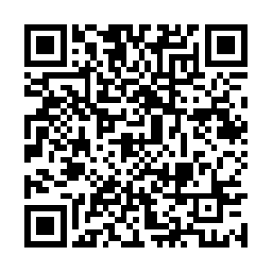 自己肉身的强度在这人参果的力量下正在不断变强二维码生成