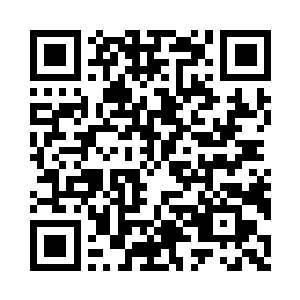 自己肯定狠不下这样的心来对待一只动物二维码生成