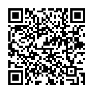 自己背后那副金龙图案显化出来的东西依然在不断地吞噬着二维码生成
