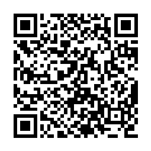 自己能喝上比黄金还要贵重的钻石路易十六红酒二维码生成