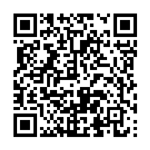 自己能够对地位境强者有影响的也就只有这不甘意二维码生成