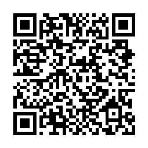 自己脑海中原本的那圈旋绕着的雾气正不断变粗二维码生成
