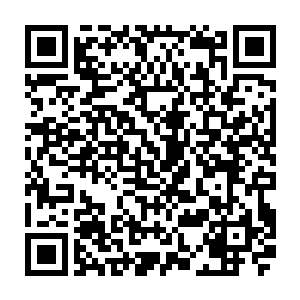 自己脑海中的金黄色的精神力漩涡也在随着身体状况的逐步好转而在慢慢的恢复二维码生成