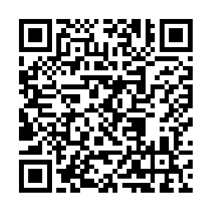 自己获取的信息就能很好弥补刚自天庭里获得的资料二维码生成